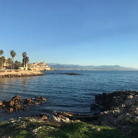 Cozy 1 Bedroom Juan-les-pins - Walk To Beaches, Restaurants, Old Town 昂蒂布