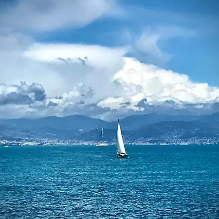 公寓 Cozy 1 Bedroom Juan-les-pins - Walk To Beaches, Restaurants, Old Town 昂蒂布